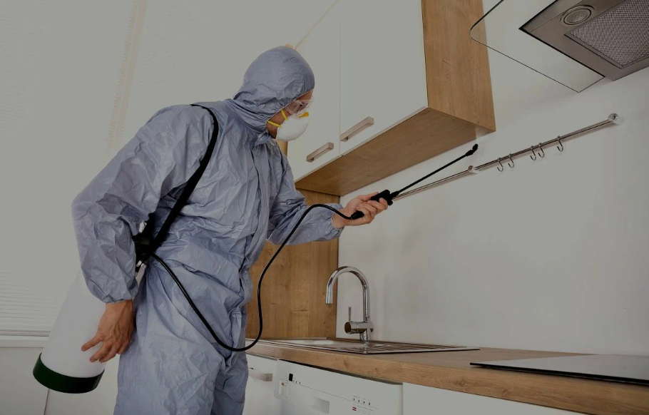 Lincoln pest managment